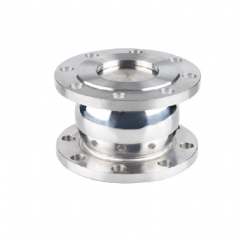 Flange Check Valve